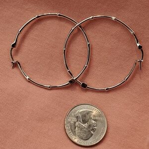Elegant Silver Hoop Earrings